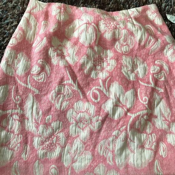 Chadwick’s Skirt - Picture 1 of 2